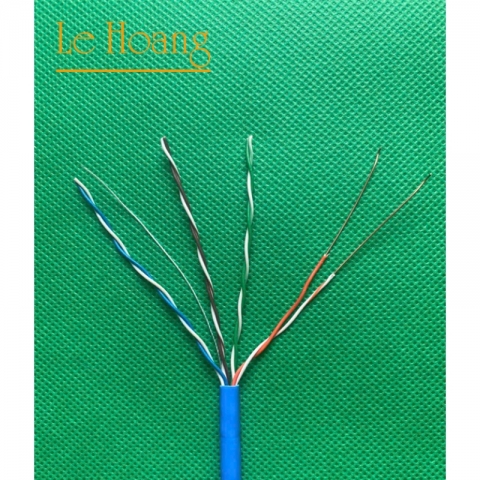 CAT5 CCA1